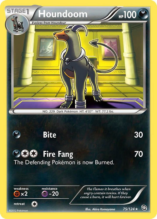 Houndoom (75/124) (DRX)