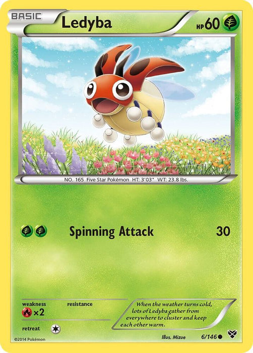 Ledyba (6/146) (XY) (Reverse Holofoil)