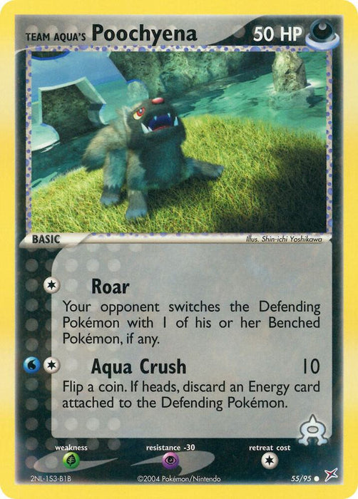 Team Aqua's Poochyena (55/95) (MA)