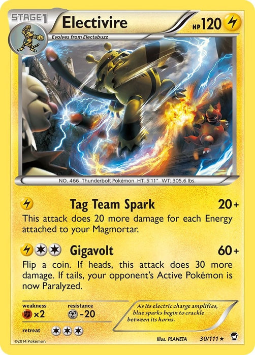 Electivire (30/111) (FFI)