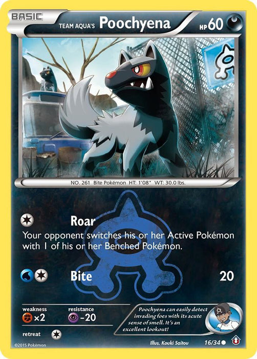 Team Aqua's Poochyena (16/34) (DCR)